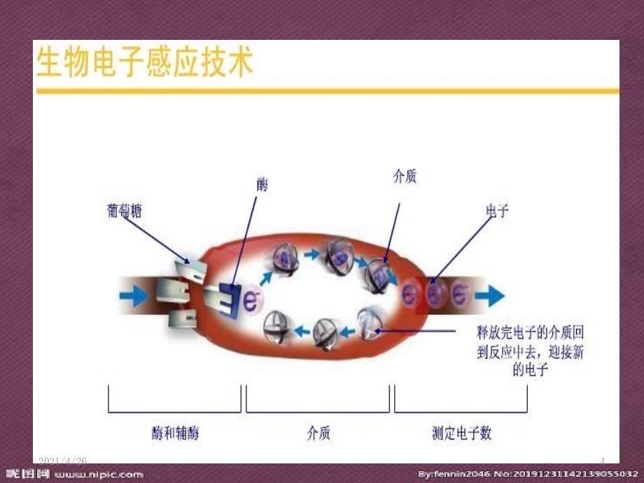 血糖仪、血酮仪的使用_第4页