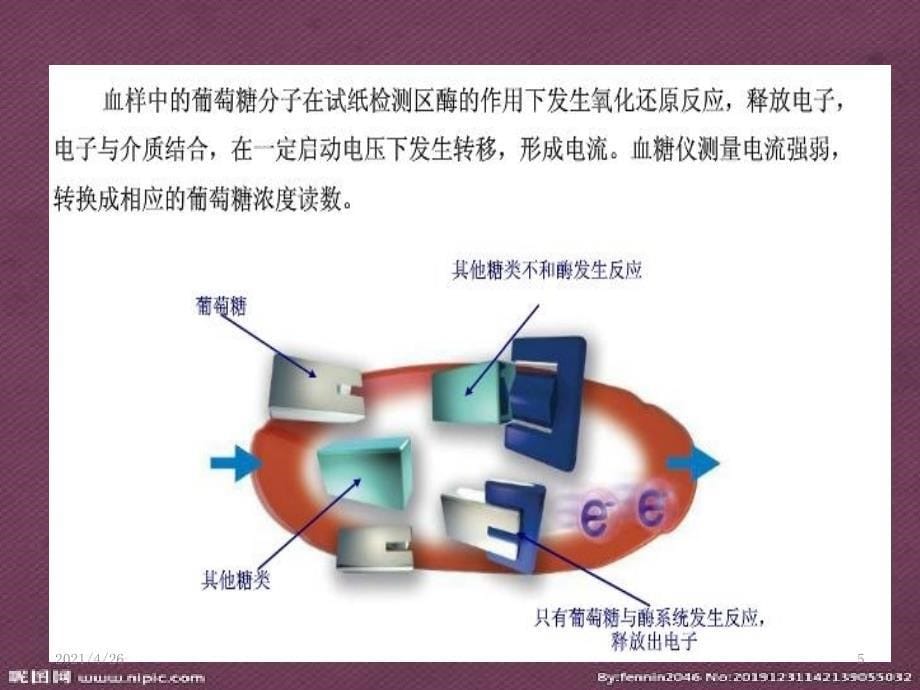 血糖仪、血酮仪的使用_第5页