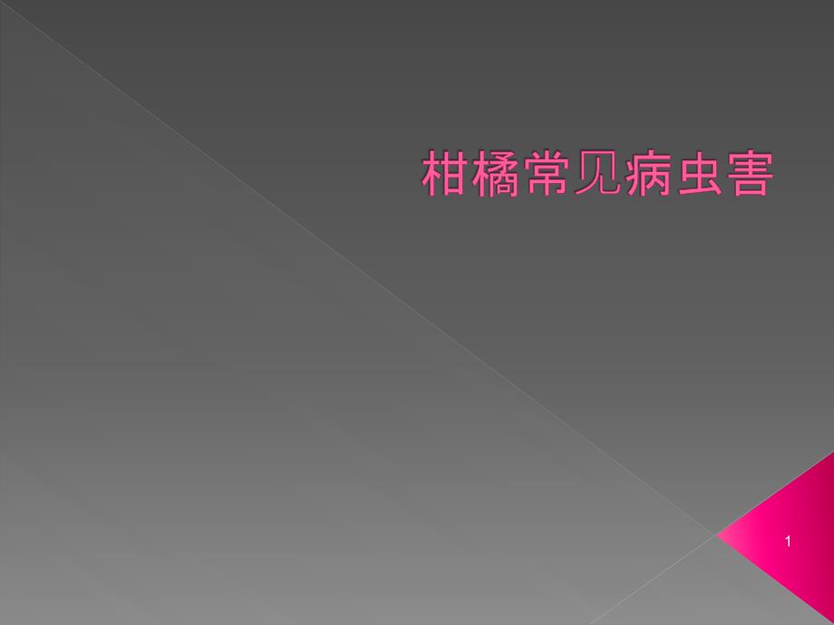 柑橘常见病虫害ppt课件_第1页