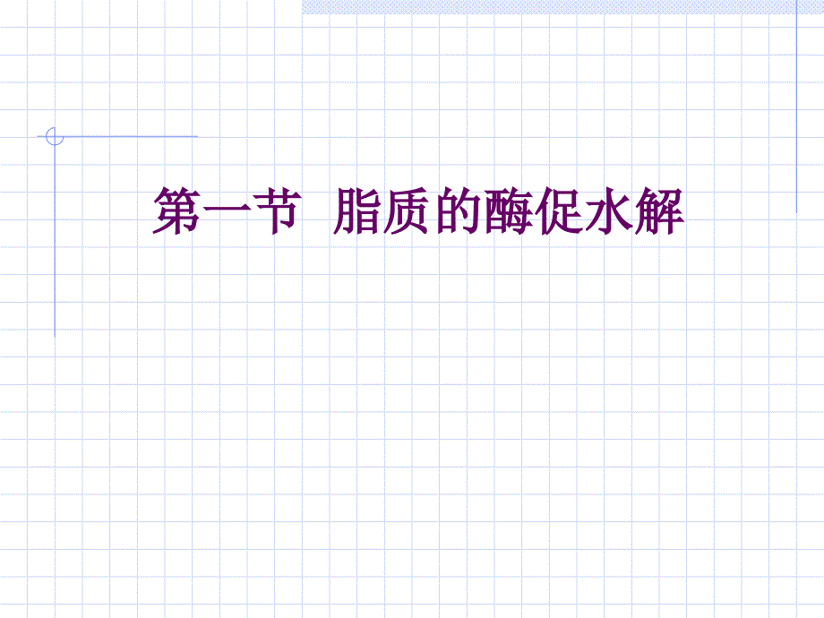 生物化学第六章糖代谢_第2页