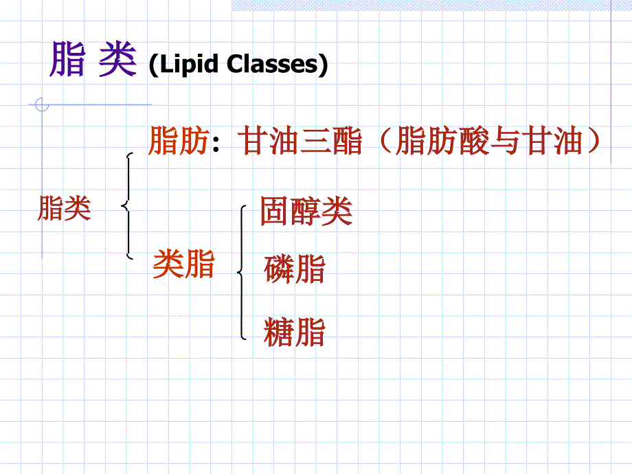 生物化学第六章糖代谢_第3页