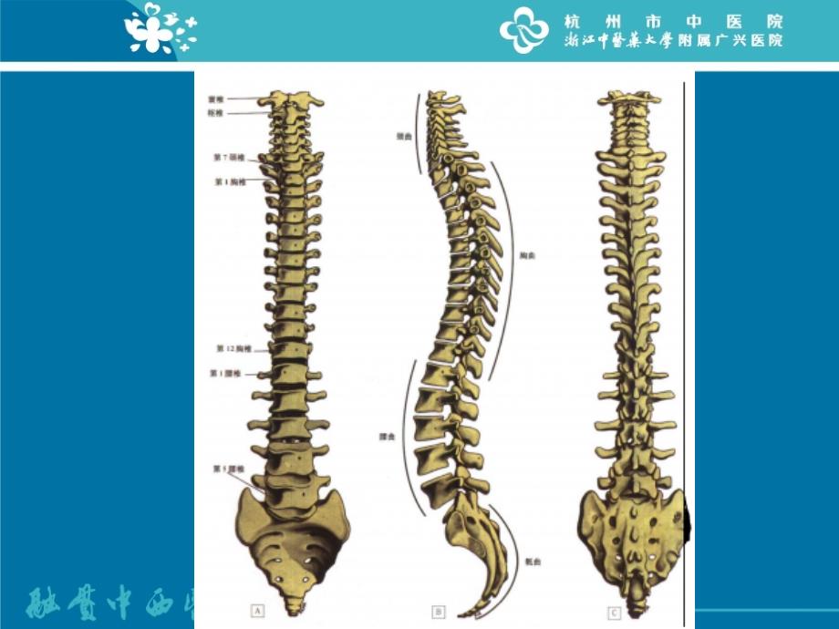 腰腿痛的诊与治疗_第4页