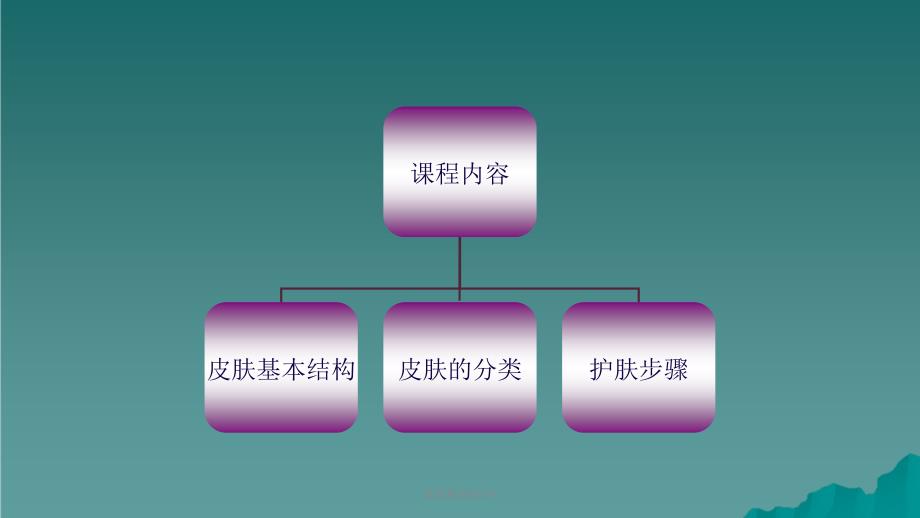 皮肤基础知识4课件_第3页