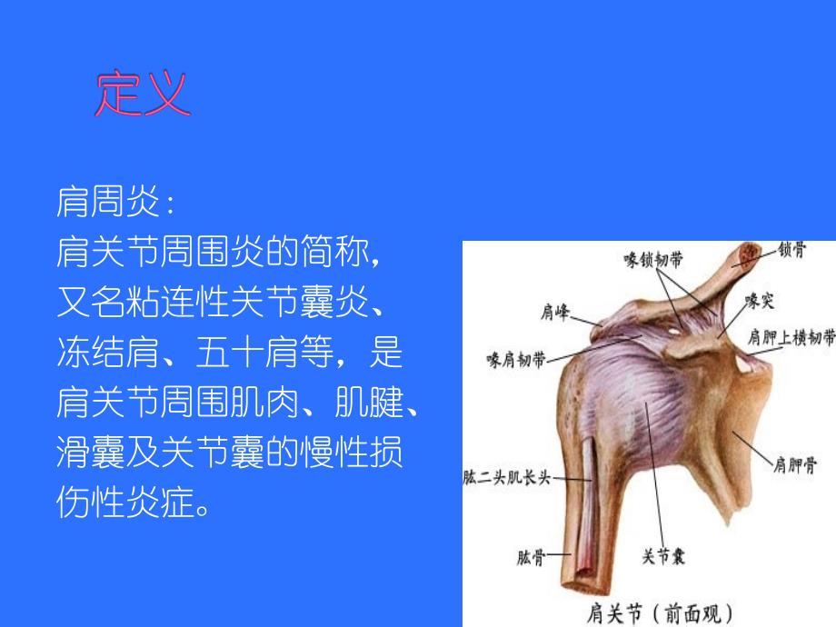 肩周炎康复PPT医学课件_第3页