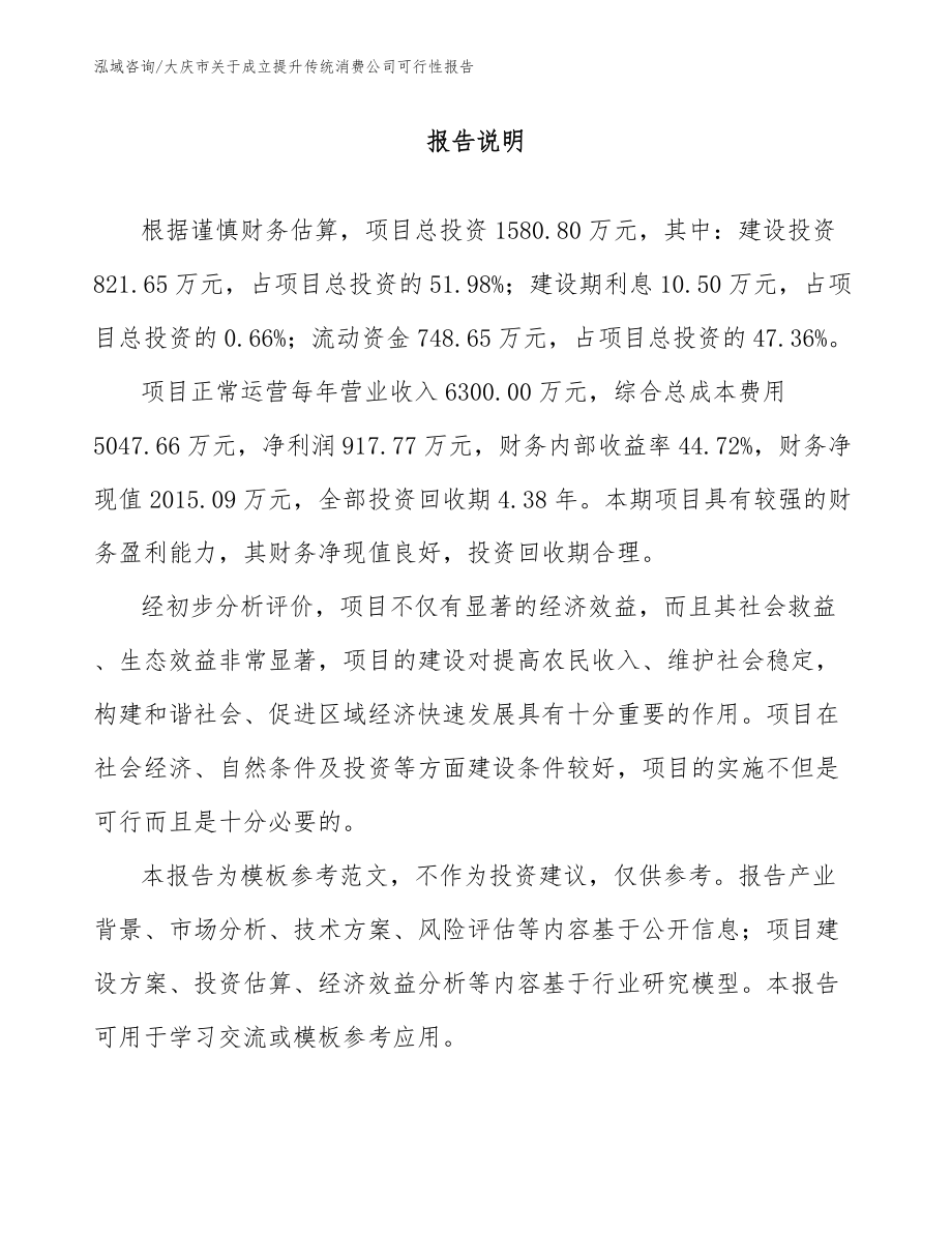 大庆市关于成立提升传统消费公司可行性报告（参考范文）_第1页
