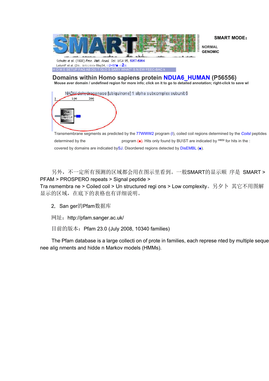 三种分析蛋白结构域_第4页