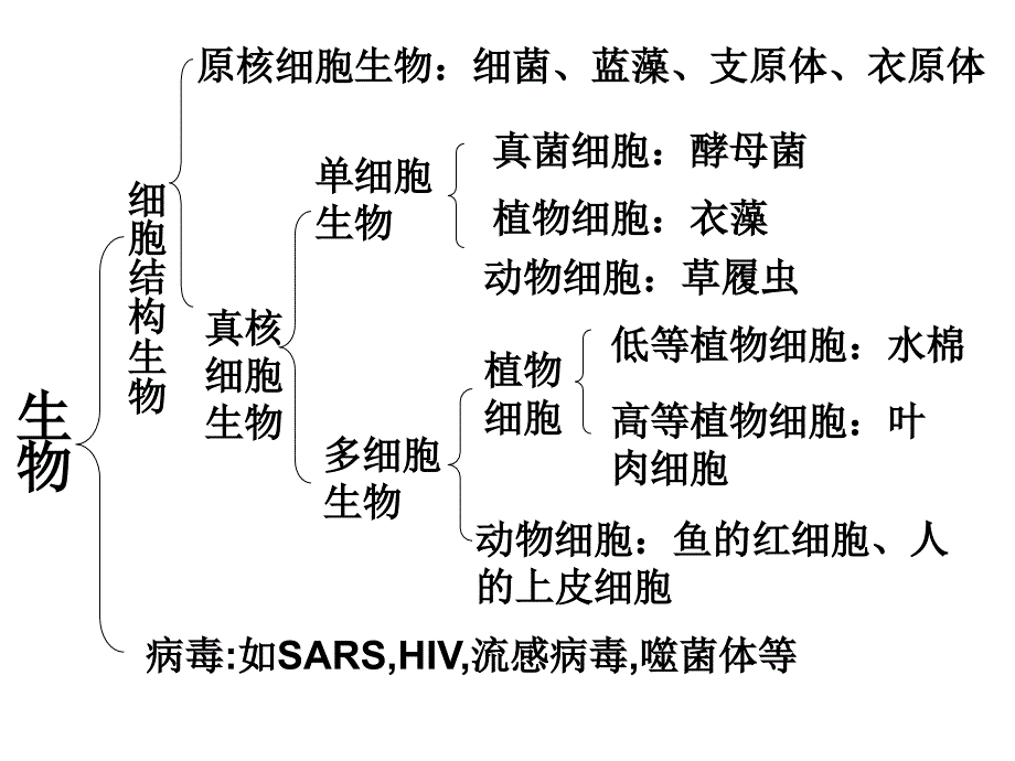 新人教高中生物必修一复习课件_第3页