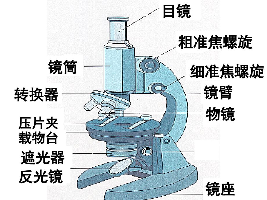 新人教高中生物必修一复习课件_第4页