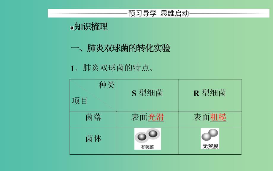 高中生物 第3章 基因的本质 第1节 DNA是主要的遗传物质课件 新人教版必修2.ppt_第3页