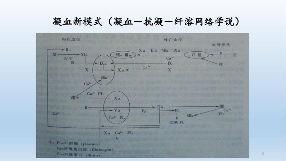 出凝血功能异常患者的术前评估和准备_第5页