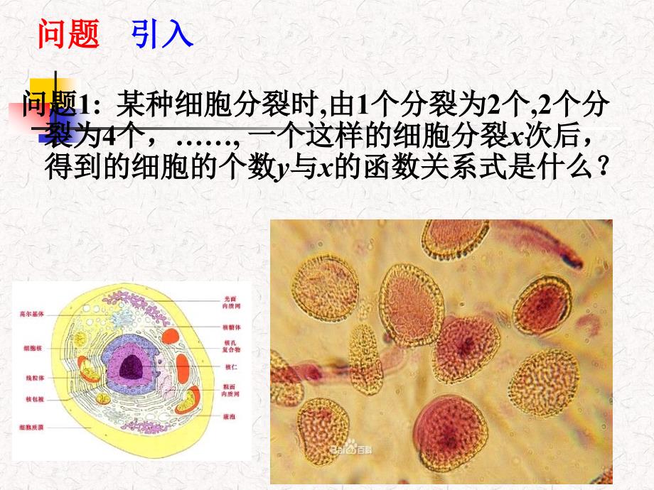 指数函数及其性质_第2页