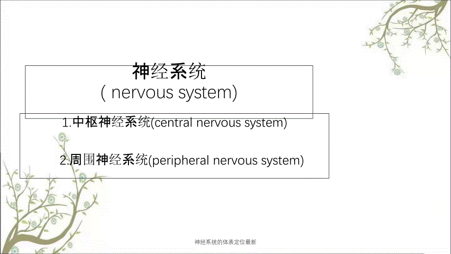 神经系统的体表定位最新课件_第2页