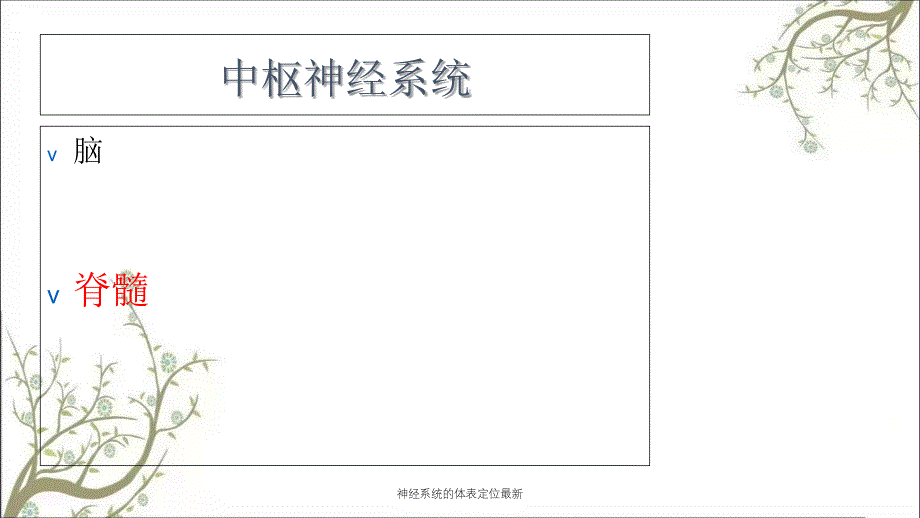 神经系统的体表定位最新课件_第3页