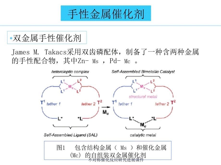 不对称催化反应研究进展课件_第5页