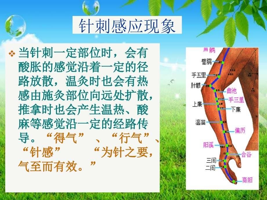 医学专题：4经络-病因教程_第5页