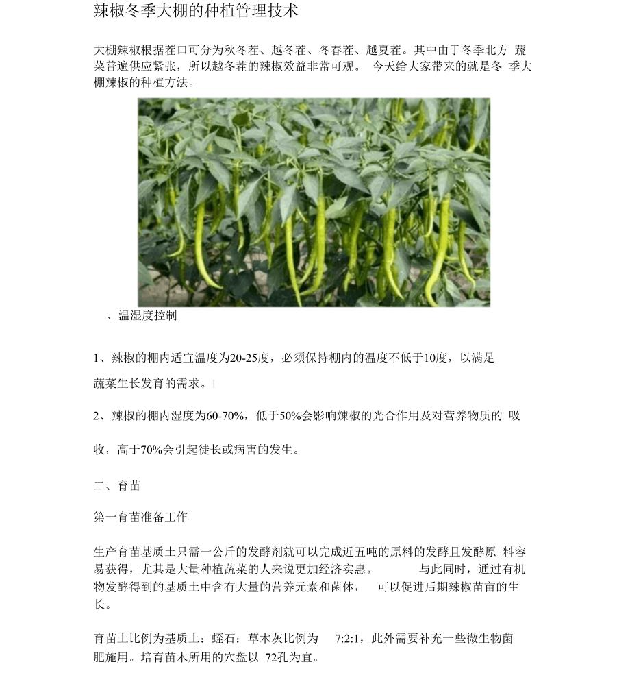 辣椒冬季大棚的种植管理技术_第1页