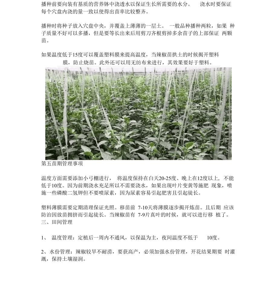 辣椒冬季大棚的种植管理技术_第3页