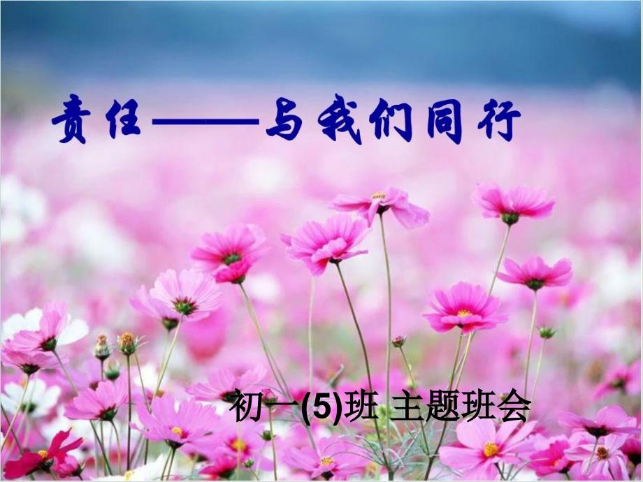 责任与我们同行主题班会.ppt_第2页