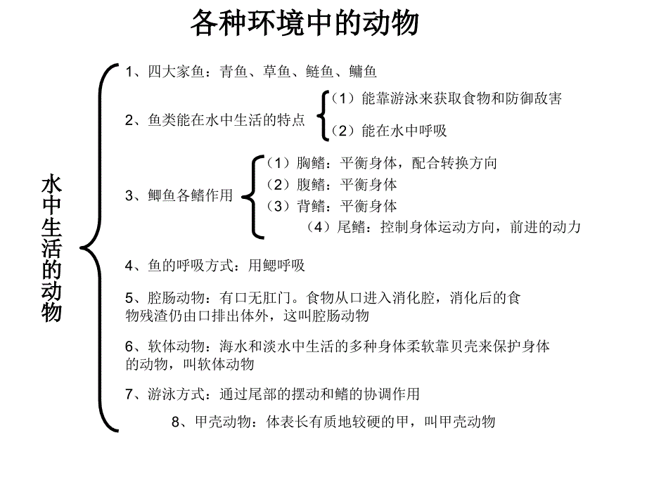 初一生物知识结构图.ppt_第1页