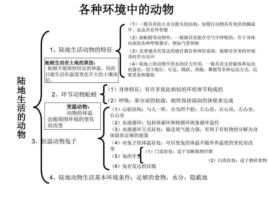 初一生物知识结构图.ppt_第2页