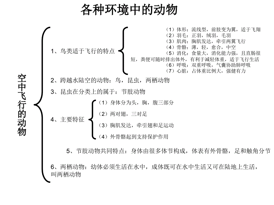 初一生物知识结构图.ppt_第3页