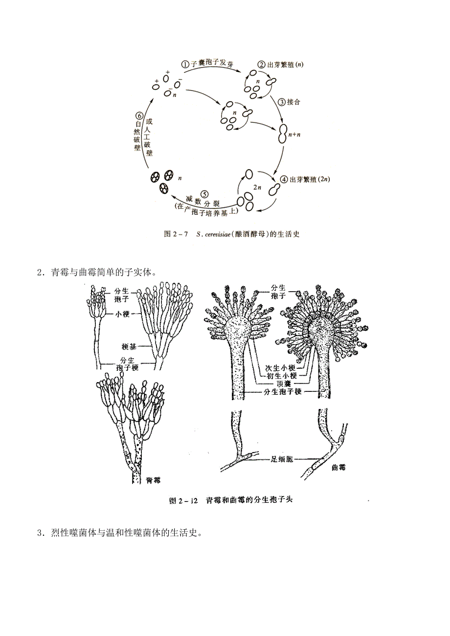 江南大学《食品微生物学》第一次离线作业.doc_第2页