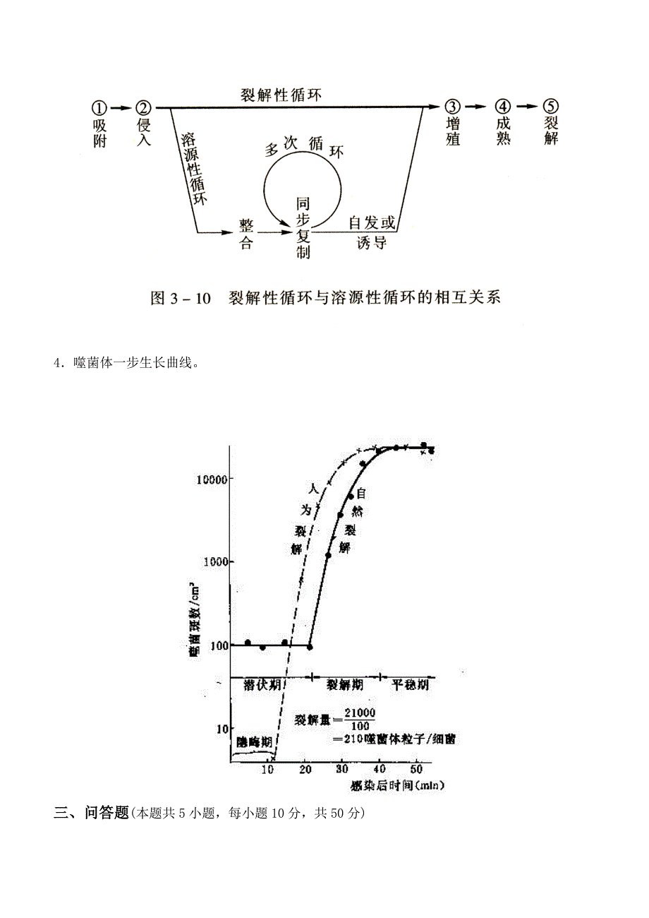 江南大学《食品微生物学》第一次离线作业.doc_第3页