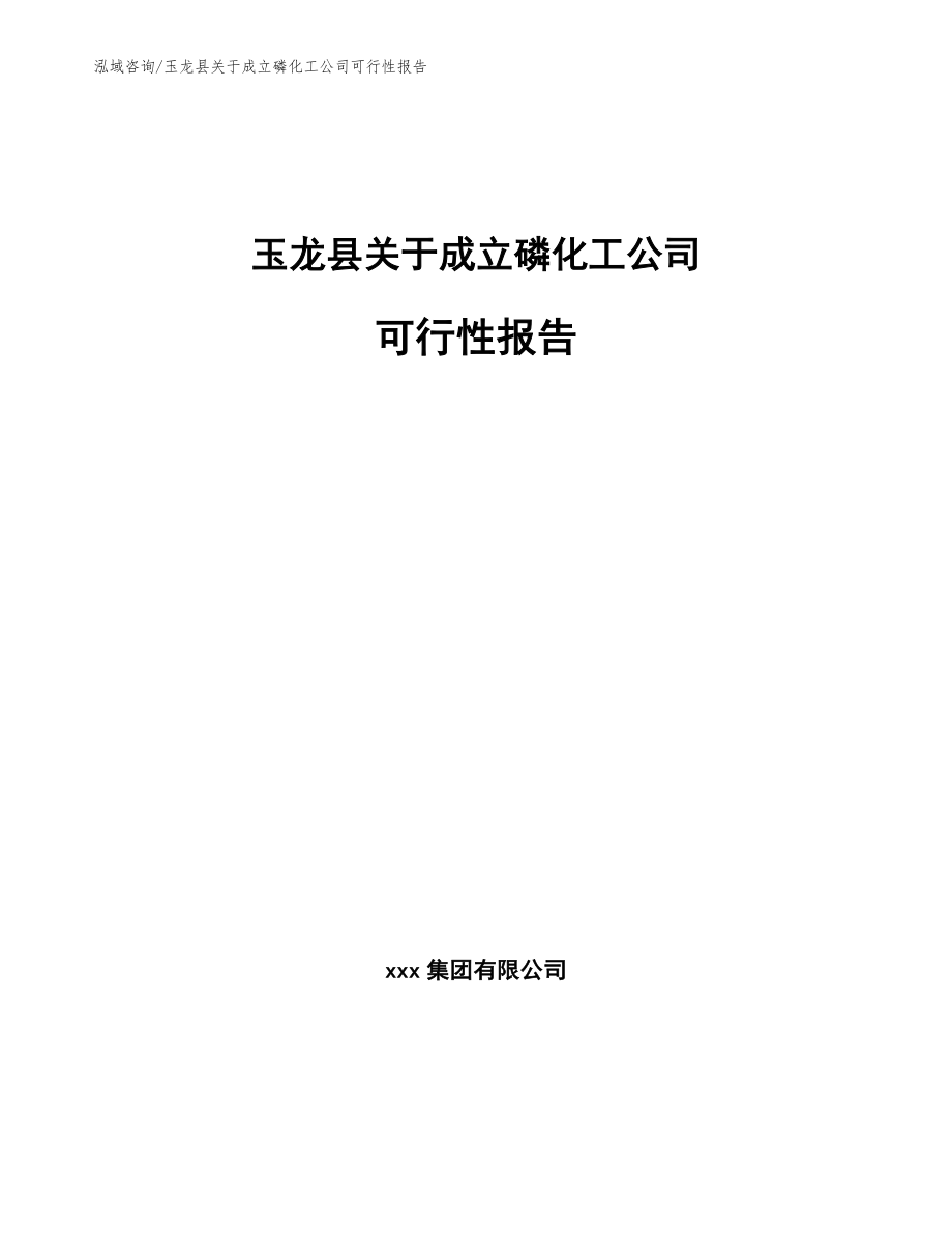 玉龙县关于成立磷化工公司可行性报告范文参考_第1页