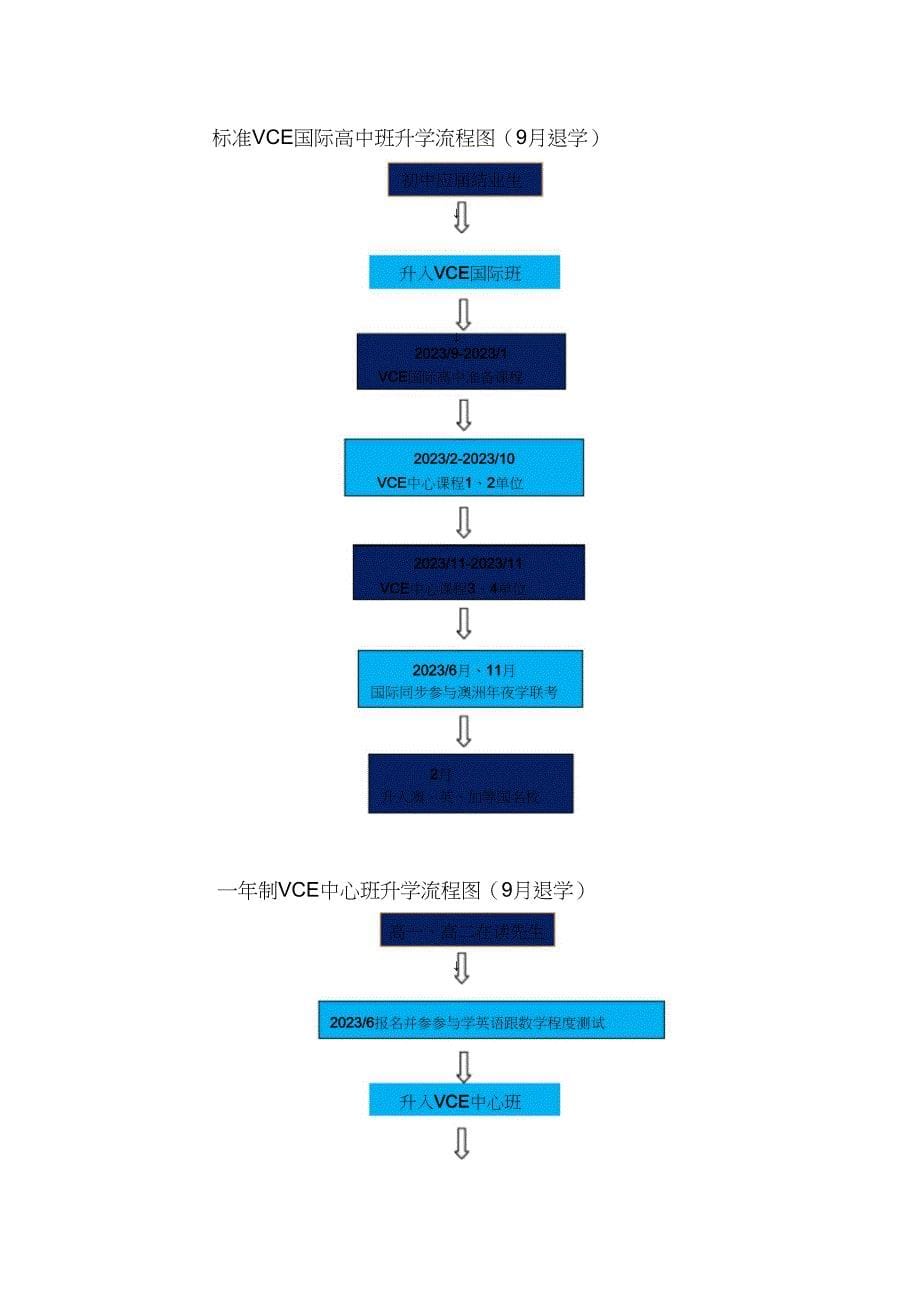 2023年澳维VCE国际班课程方案.docx_第5页