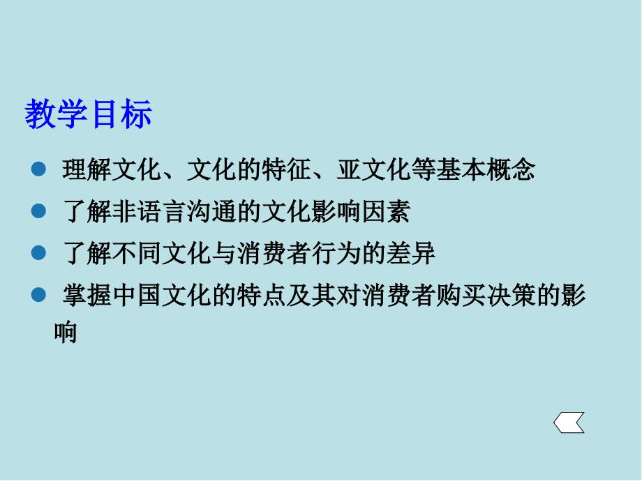 消费者行为学第11章文化因素与消费者行为课件_第2页