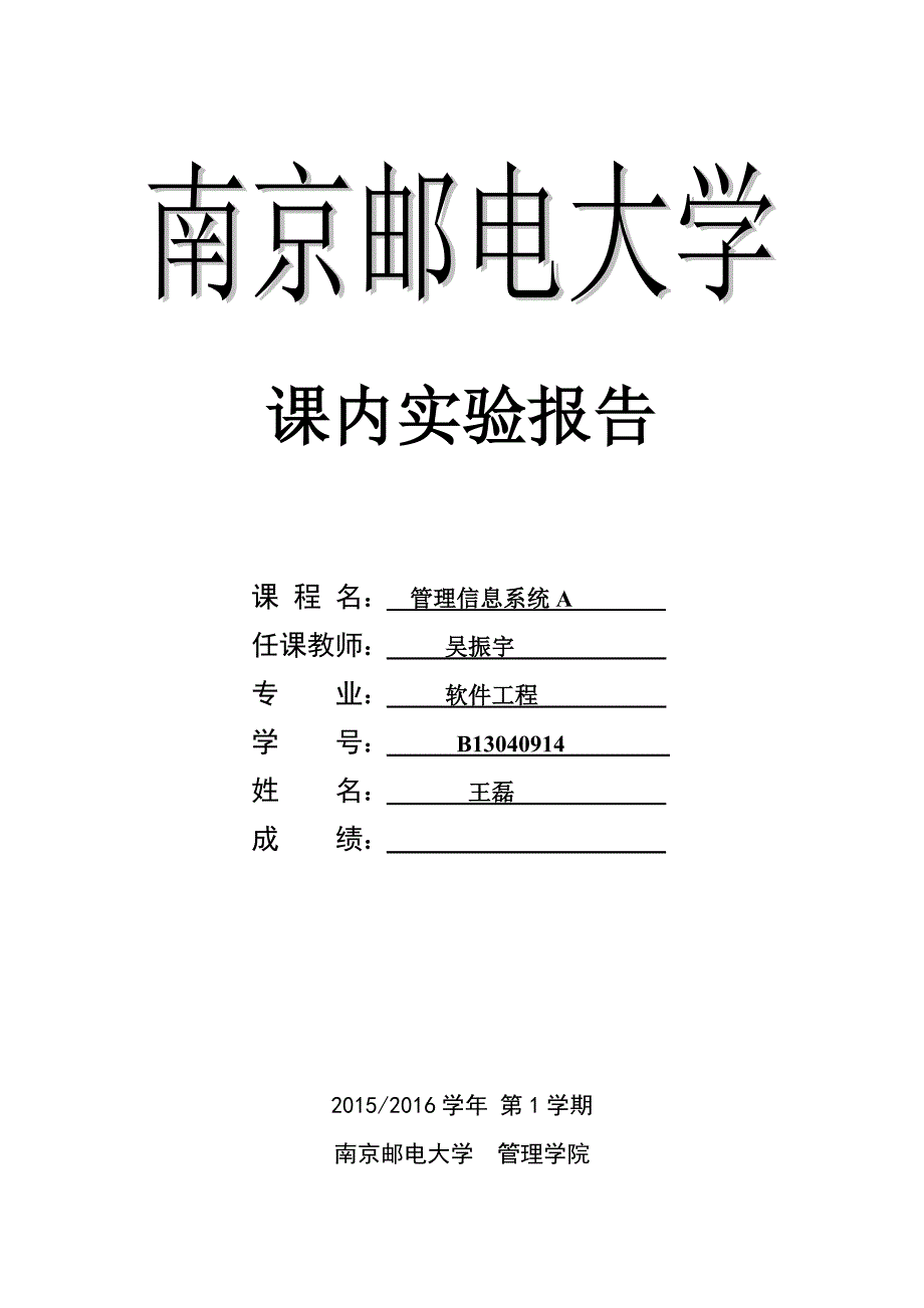B13040914王磊-实验报告-管理信息系统_第1页