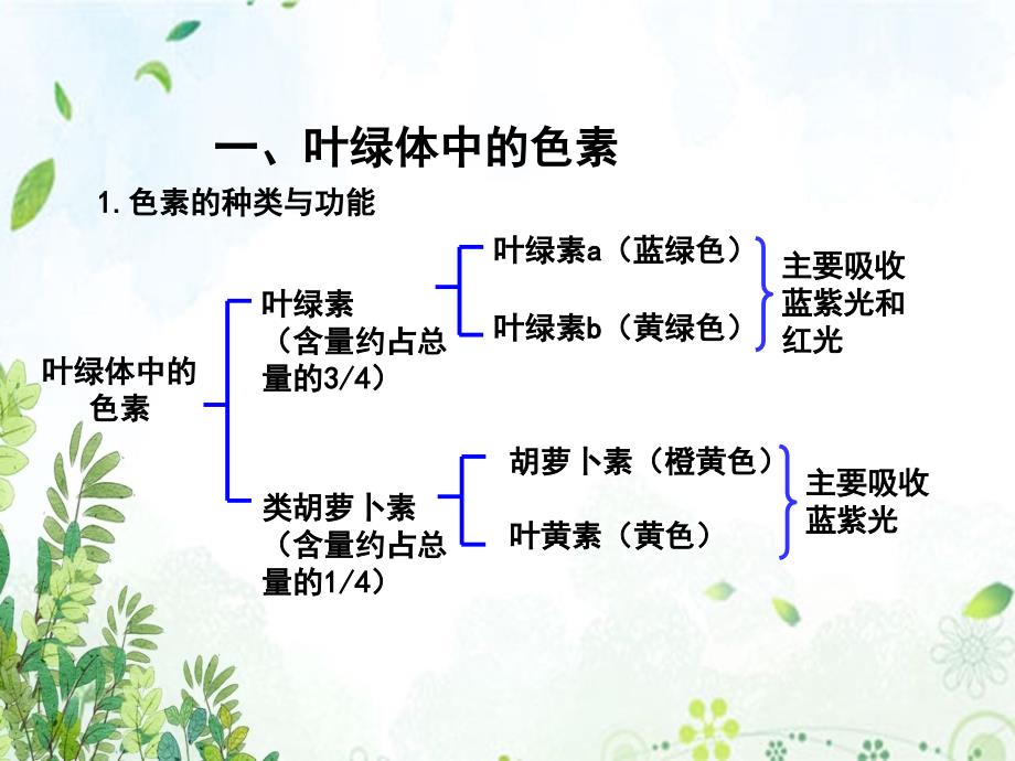 光合作用一轮复习文稿演示课件_第3页