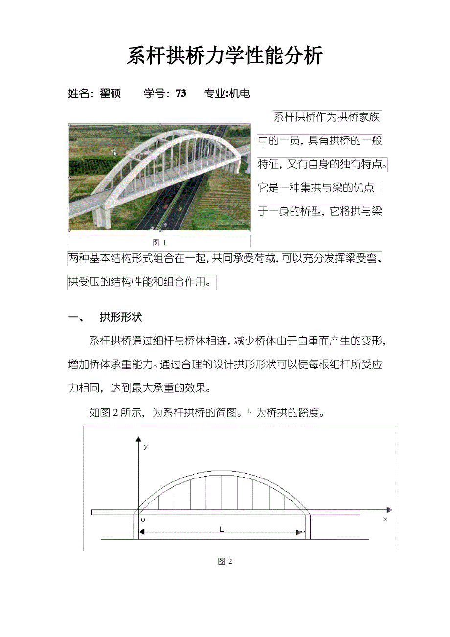 系杆拱桥力学性能分析_第1页