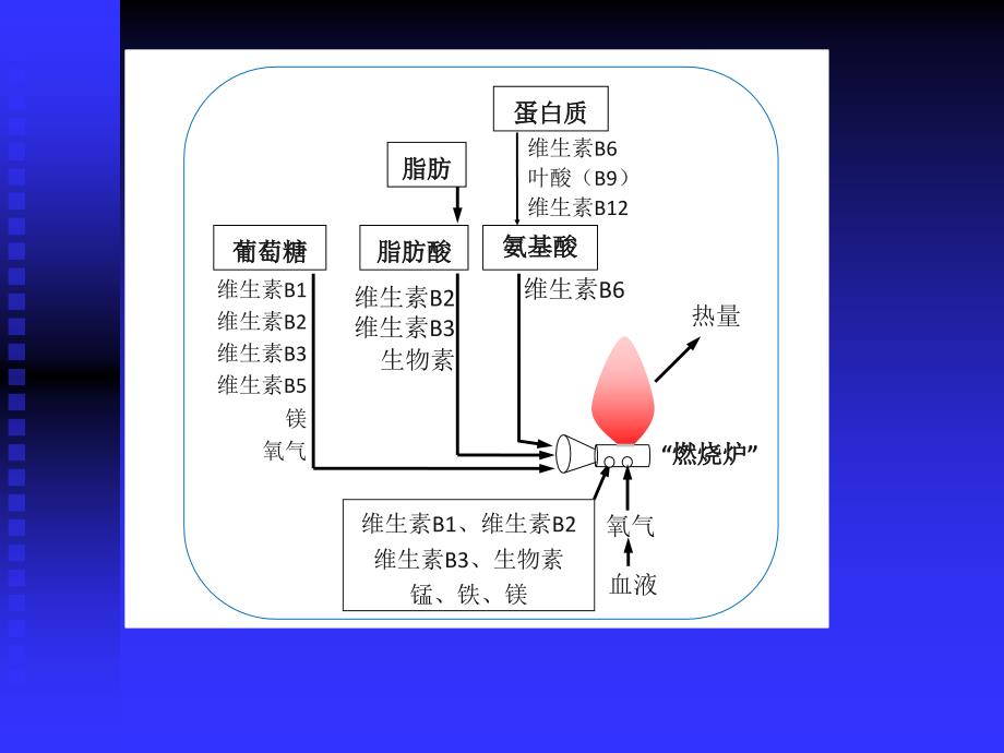 医学教学课件：食物因素与健康3-2（营养缺乏病）_第3页