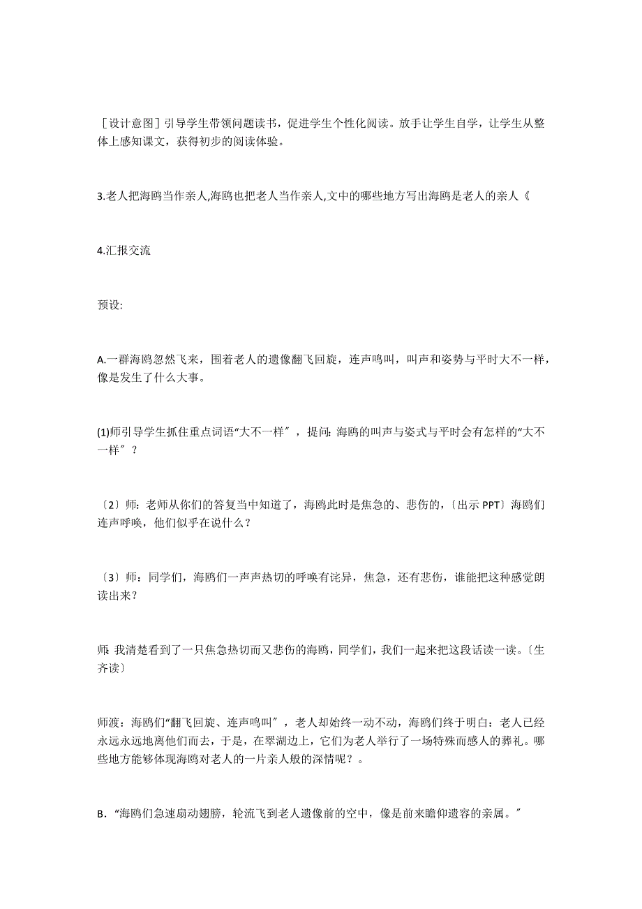 老人与海鸥 教案教学设计_第3页