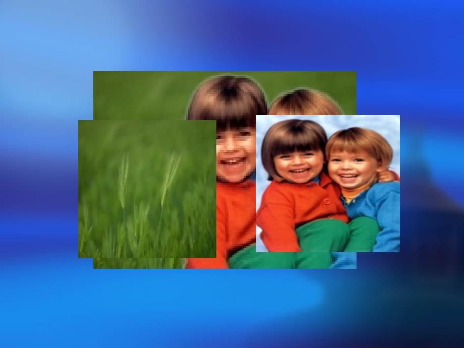 图形图像的加工--背景制作_第1页