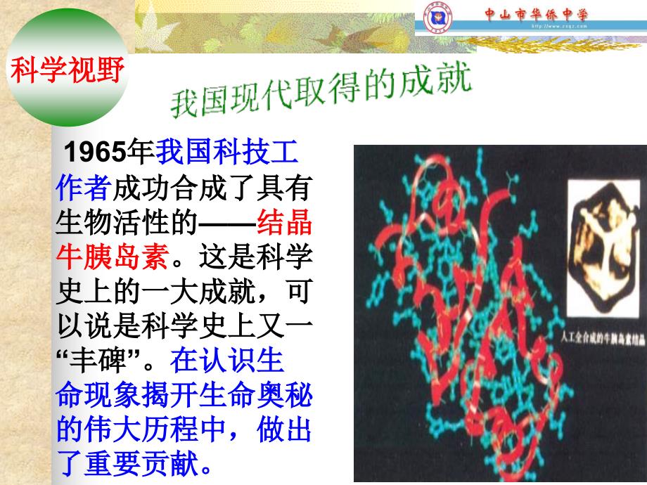 化学43蛋白质和核酸课件2新人教版选修5_第4页