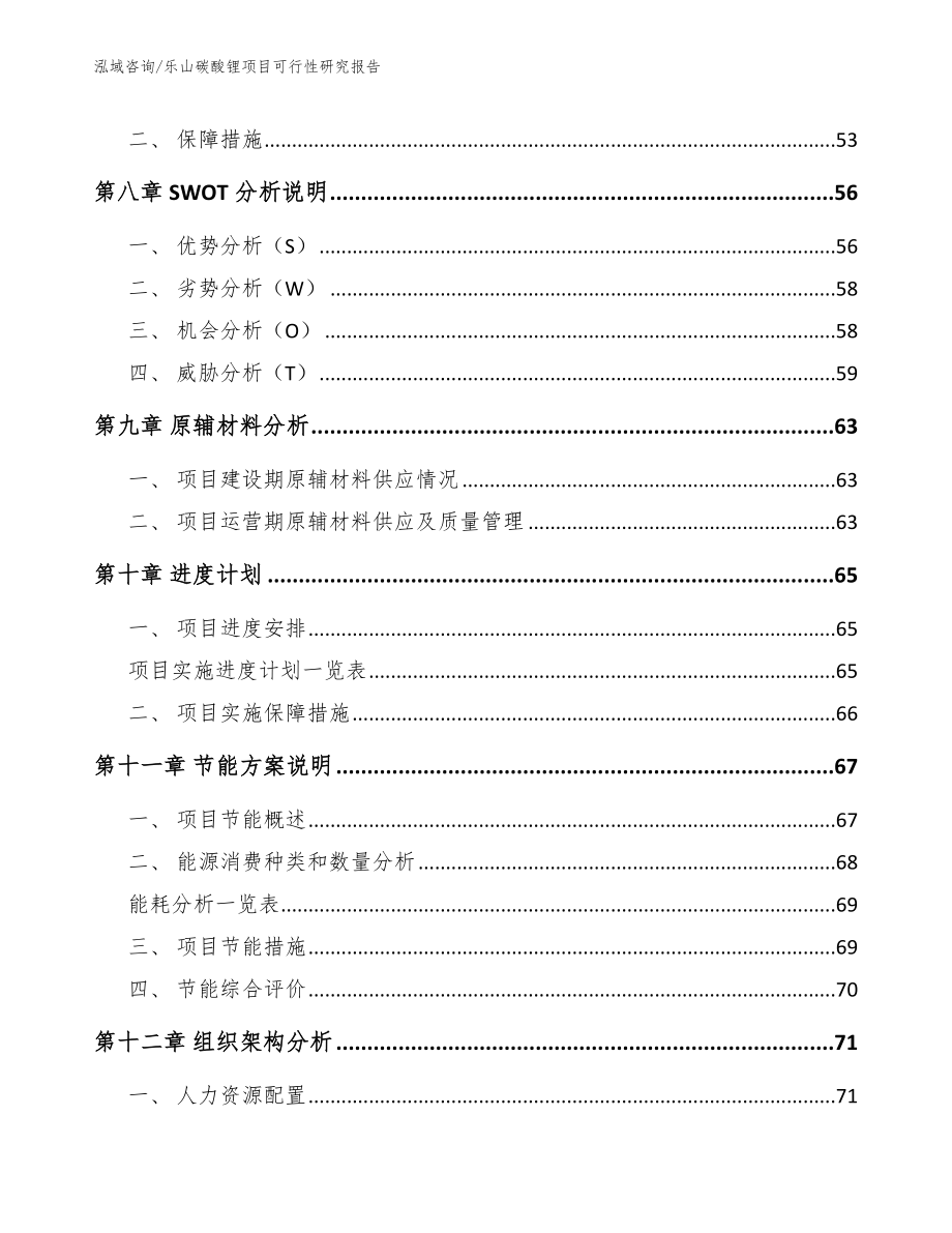 乐山碳酸锂项目可行性研究报告_范文模板_第3页