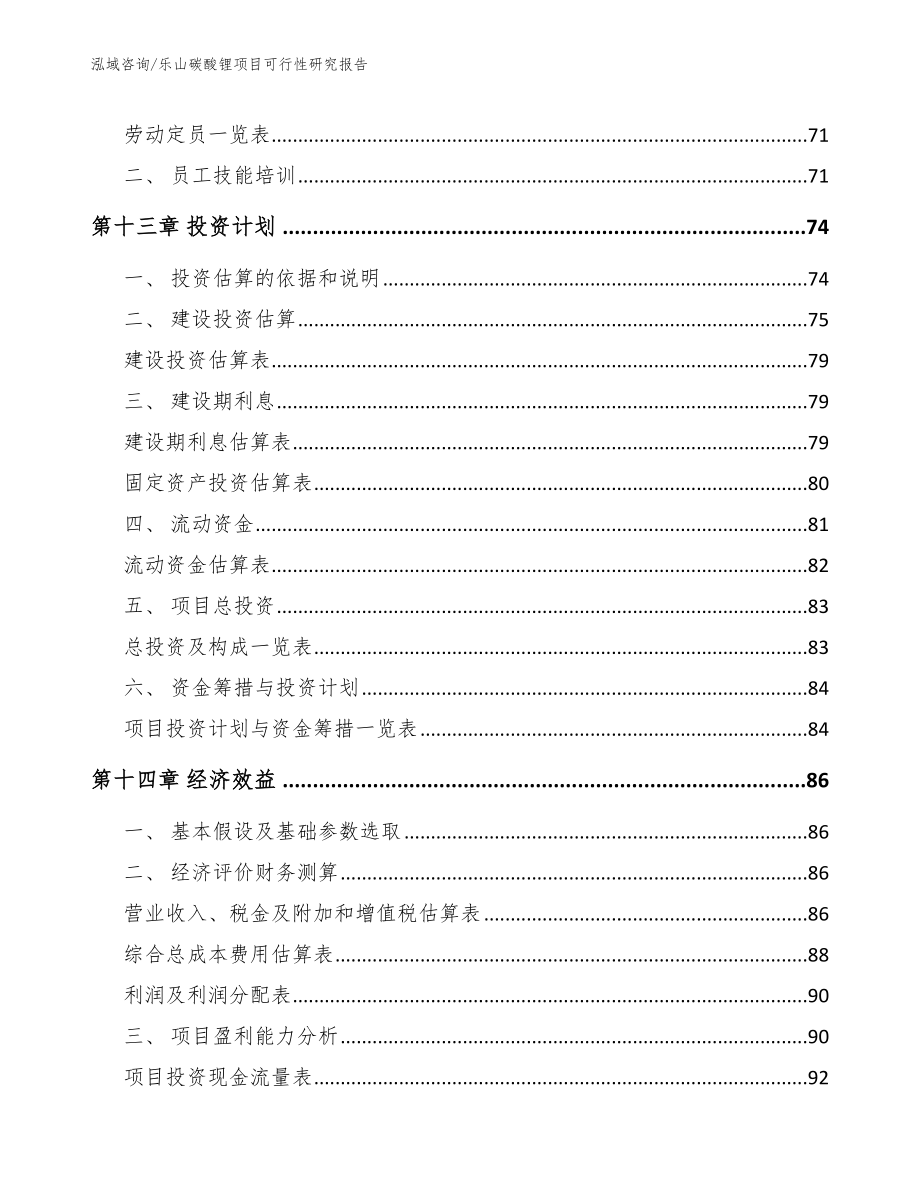 乐山碳酸锂项目可行性研究报告_范文模板_第4页