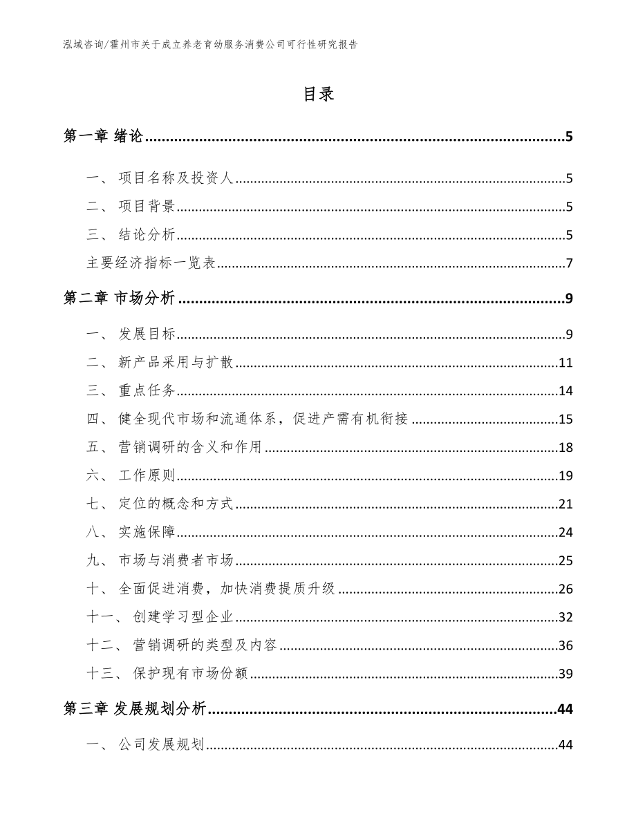 霍州市关于成立养老育幼服务消费公司可行性研究报告范文_第1页