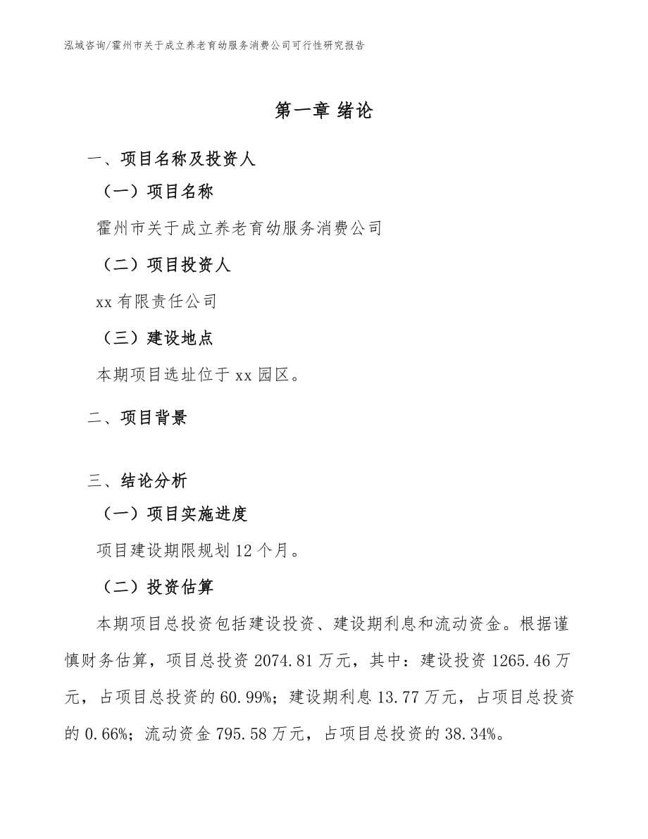 霍州市关于成立养老育幼服务消费公司可行性研究报告范文_第5页