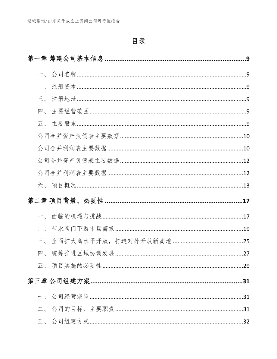 山东关于成立止回阀公司可行性报告参考范文_第2页