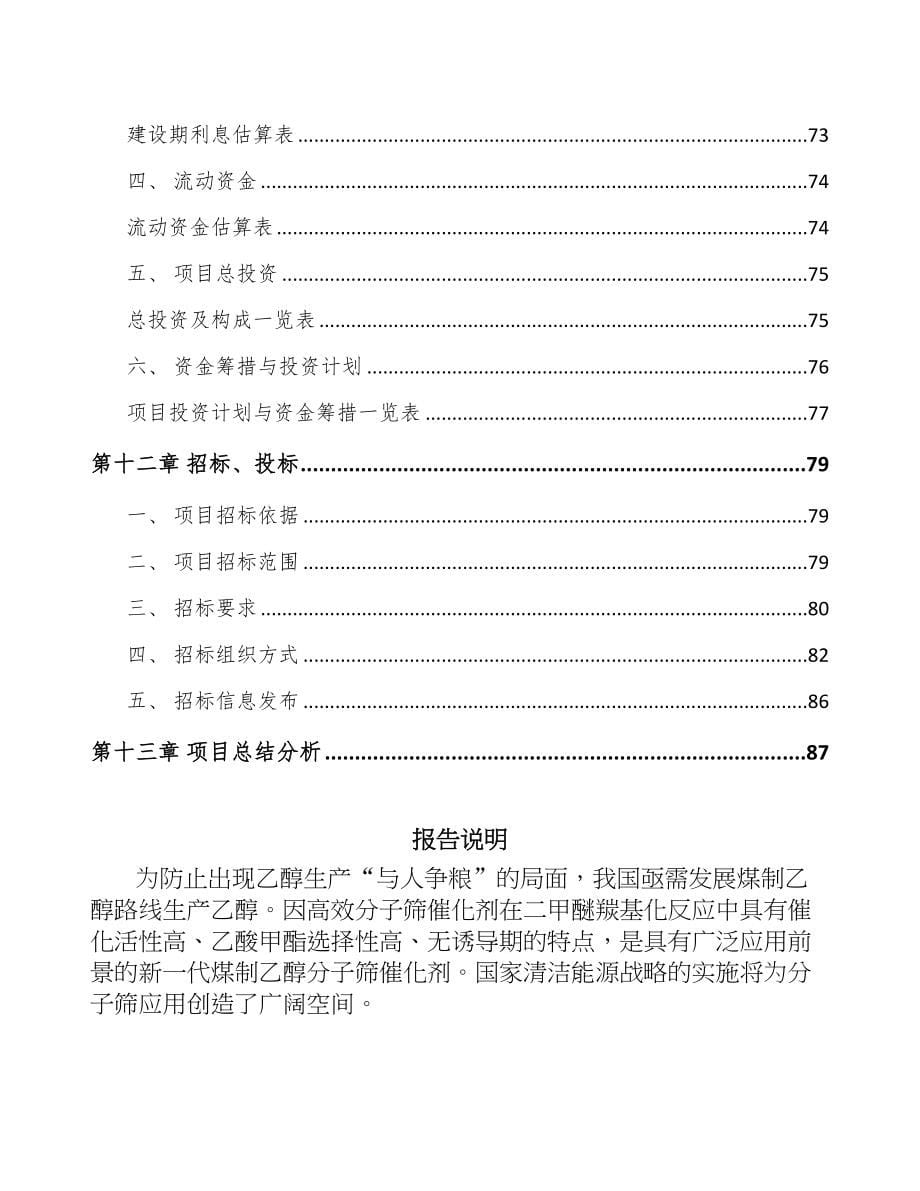 海南分子筛项目可行性研究报告(DOC 63页)_第5页