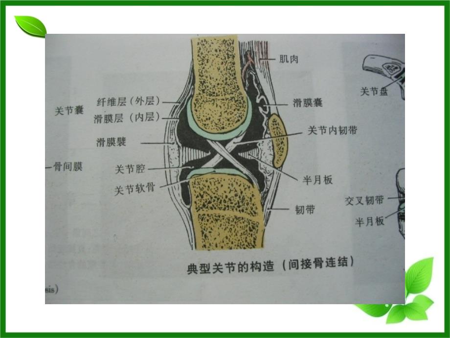 关节活动度训练_第4页