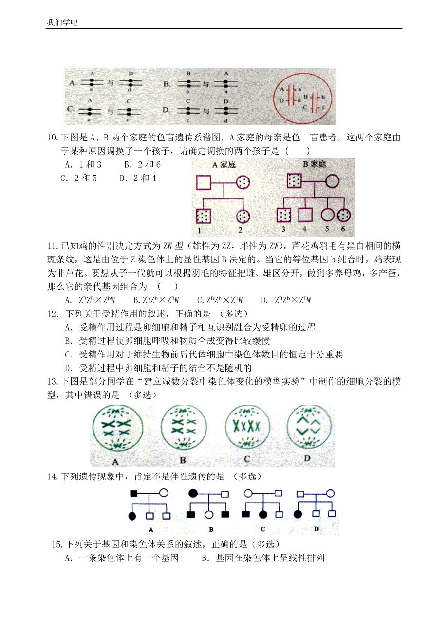 必修二_遗传与进化_会考题.doc_第4页