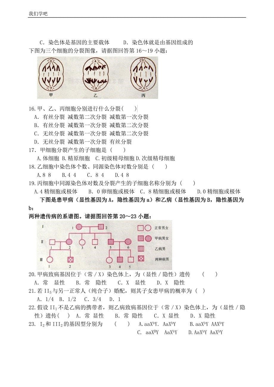 必修二_遗传与进化_会考题.doc_第5页