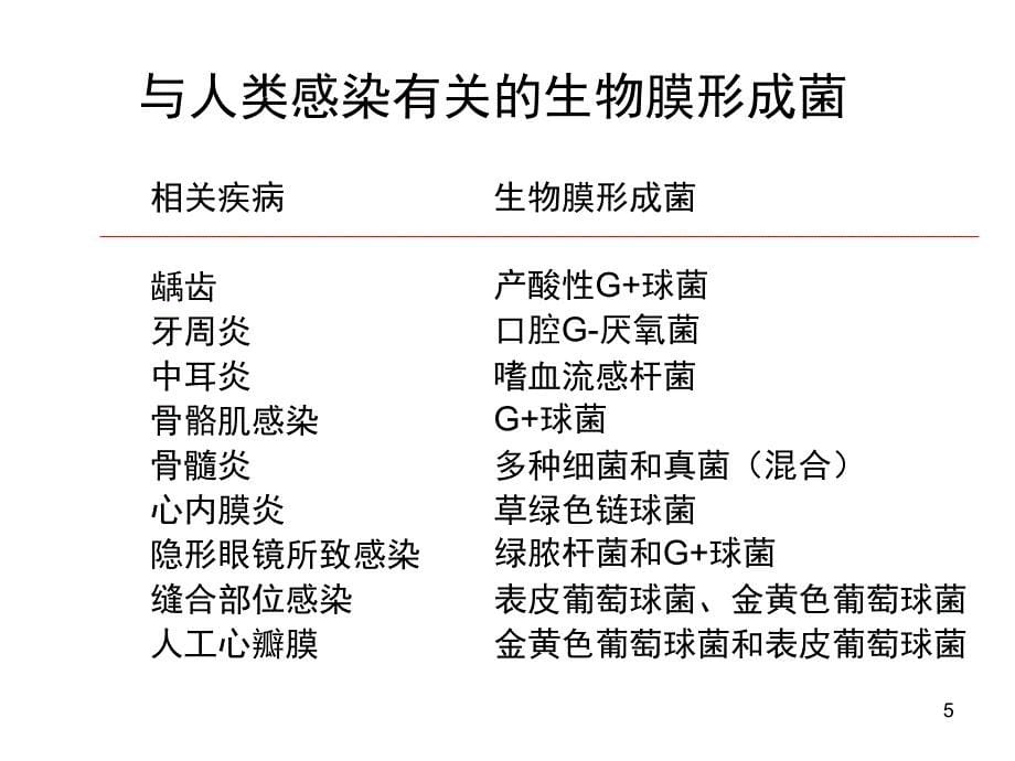 细菌生物被膜课堂PPT_第5页