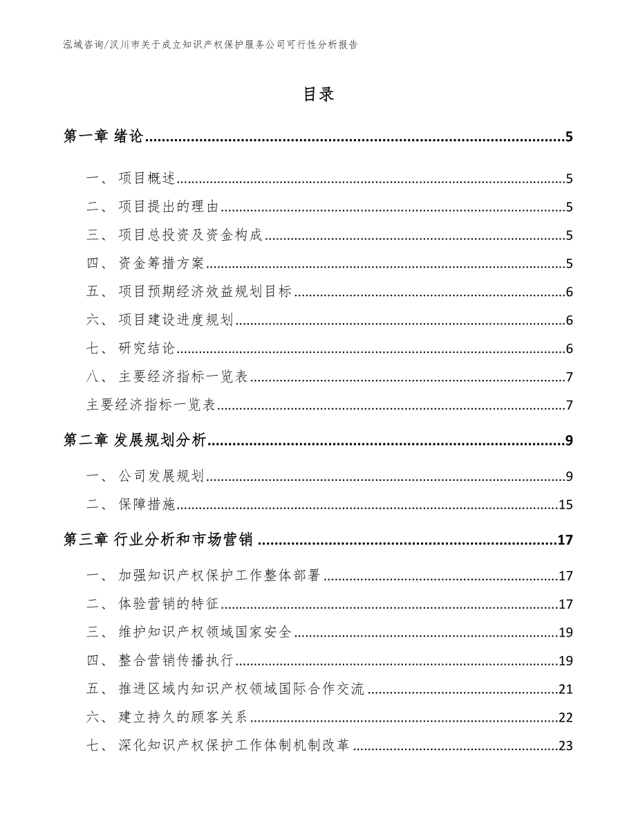 汉川市关于成立知识产权保护服务公司可行性分析报告_第1页