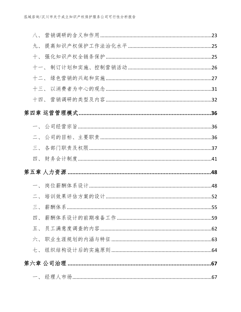 汉川市关于成立知识产权保护服务公司可行性分析报告_第2页