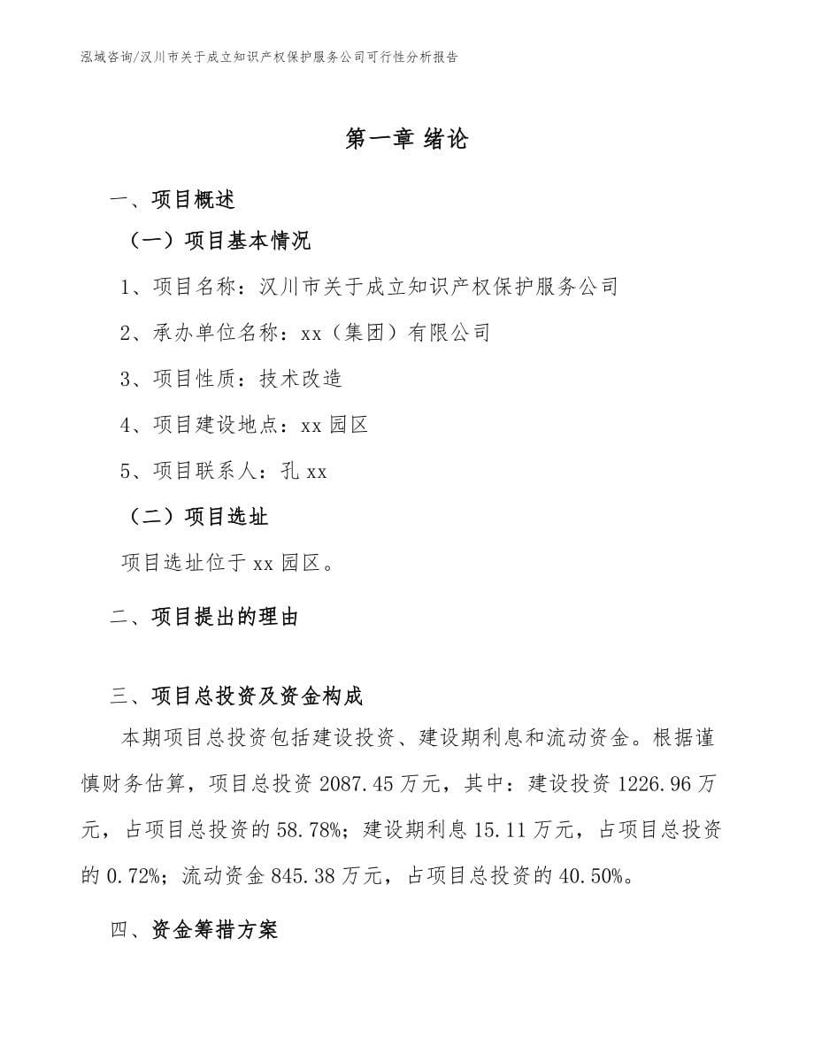汉川市关于成立知识产权保护服务公司可行性分析报告_第5页